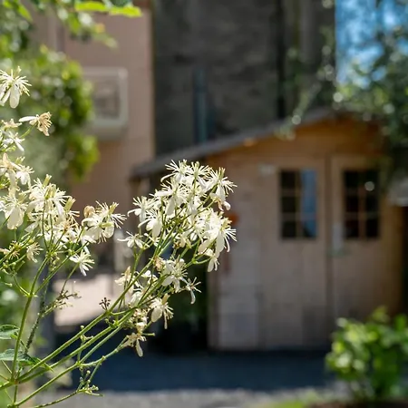 Bed & Breakfast La Chicca
